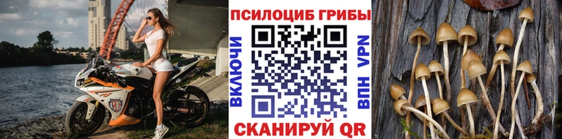 Галлюциногенные грибы мухоморы  блэк спрут ссылка  Керчь 